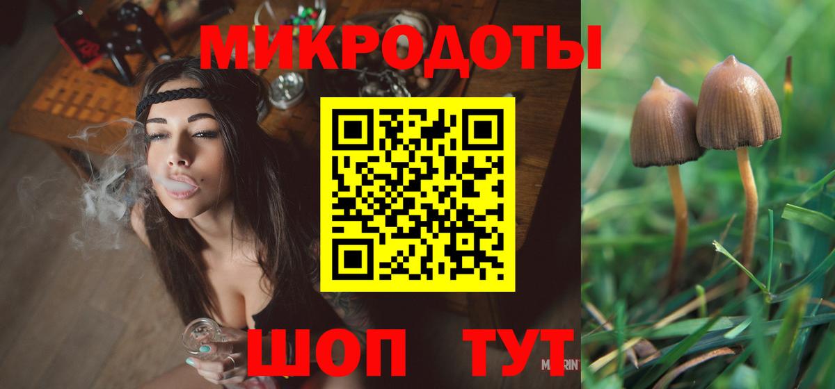 Псилоцибиновые грибы Psilocybe Качканар